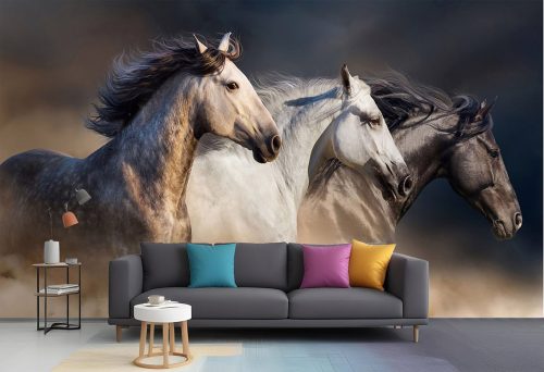Animal_346_Samp