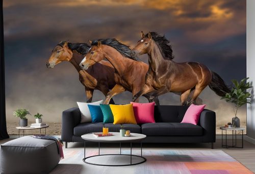 Animal_347_Samp